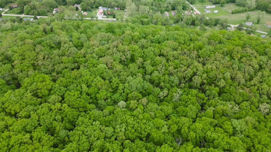 0 Blackberry Hills Rd, Bloomsdale, Missouri 63627, ,Farm,For Sale,Blackberry Hills Rd,MAR25029045