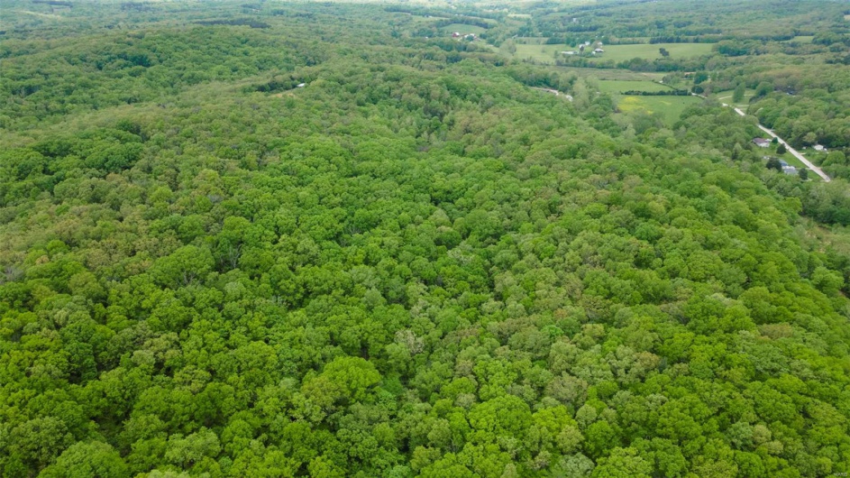 0 Blackberry Hills Rd, Bloomsdale, Missouri 63627, ,Farm,For Sale,Blackberry Hills Rd,MAR25029045