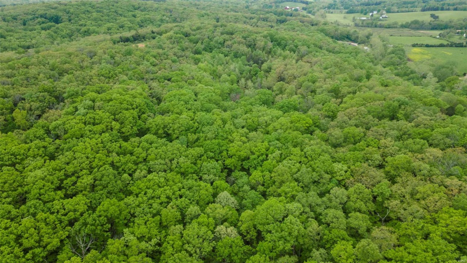 0 Blackberry Hills Rd, Bloomsdale, Missouri 63627, ,Farm,For Sale,Blackberry Hills Rd,MAR25029045
