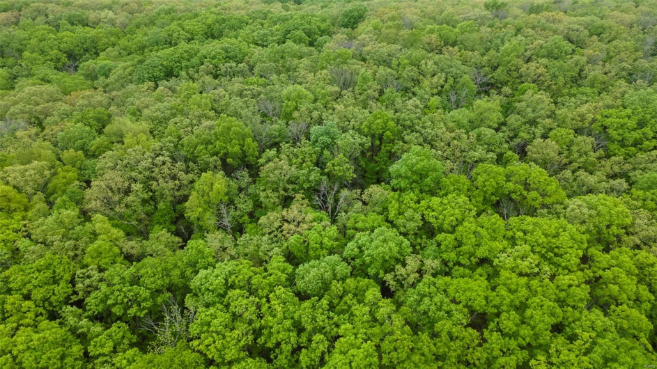 0 Blackberry Hills Rd, Bloomsdale, Missouri 63627, ,Farm,For Sale,Blackberry Hills Rd,MAR25029045