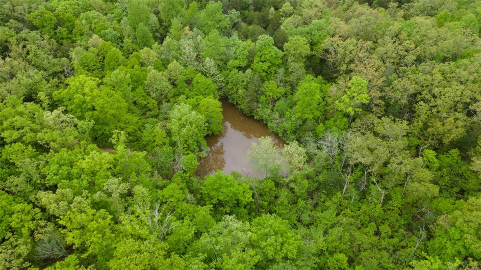 0 Blackberry Hills Rd, Bloomsdale, Missouri 63627, ,Farm,For Sale,Blackberry Hills Rd,MAR25029045