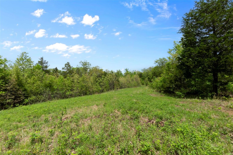 0 Blackberry Hills Rd, Bloomsdale, Missouri 63627, ,Farm,For Sale,Blackberry Hills Rd,MAR25029045