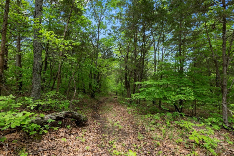 0 Blackberry Hills Rd, Bloomsdale, Missouri 63627, ,Farm,For Sale,Blackberry Hills Rd,MAR25029045