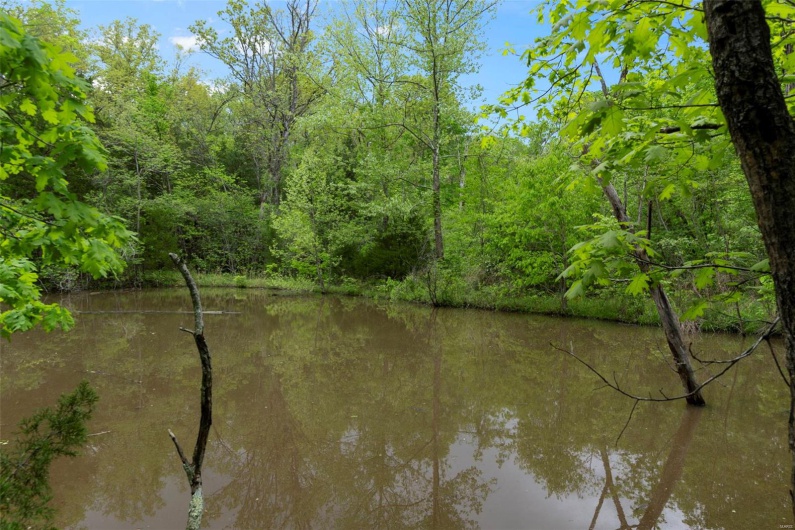0 Blackberry Hills Rd, Bloomsdale, Missouri 63627, ,Farm,For Sale,Blackberry Hills Rd,MAR25029045