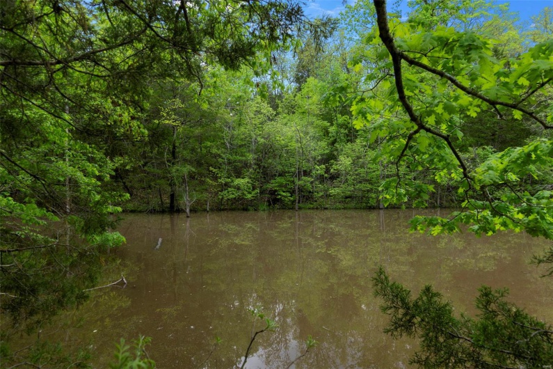 0 Blackberry Hills Rd, Bloomsdale, Missouri 63627, ,Farm,For Sale,Blackberry Hills Rd,MAR25029045