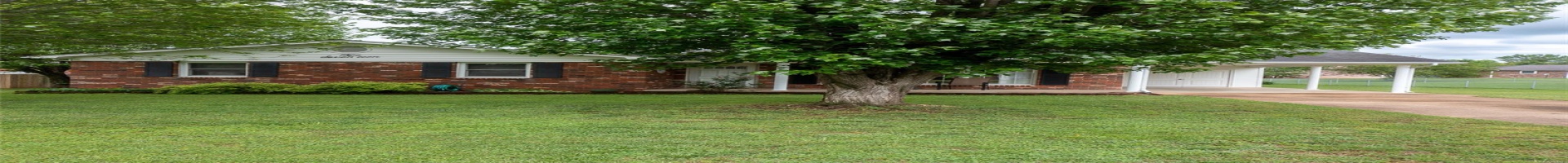 Residential For Sale 217 Williams Street, Fredericktown, Missouri 63645, 3 Bedrooms Bedrooms, 8 Rooms Rooms,3 BathroomsBathrooms,Residential,For Sale,Williams,MAR25027850