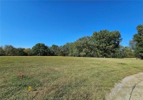 1 Queen Ann Court, Steeleville, Illinois 62288, ,Land,For Sale,Queen Ann Court,MAR24065120