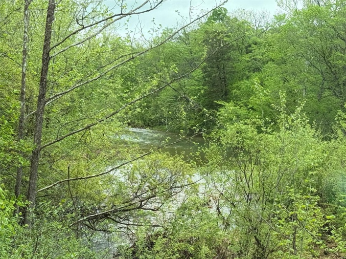 1409 Co Rd 118, Annapolis, Missouri 63620, ,Farm,For Sale,Co Rd 118,MAR25029403
