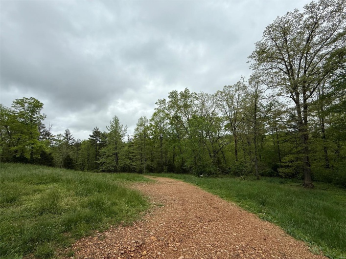 driveway and front yard