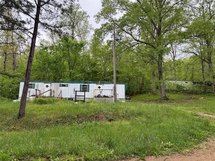 1409 Co Rd 118, Annapolis, Missouri 63620, ,Farm,For Sale,Co Rd 118,MAR25029403