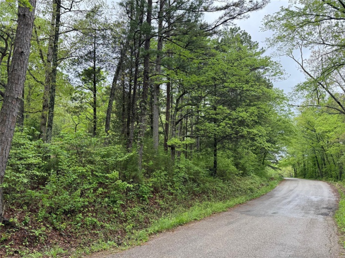 1409 Co Rd 118, Annapolis, Missouri 63620, ,Farm,For Sale,Co Rd 118,MAR25029403