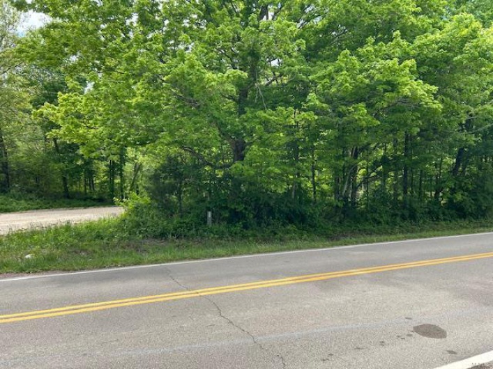 View of road featuring a view of trees