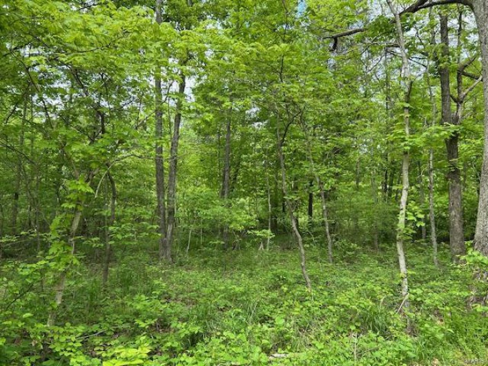 View of nature with a wooded view