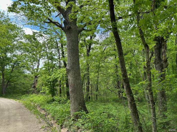 View of nature with a forest view