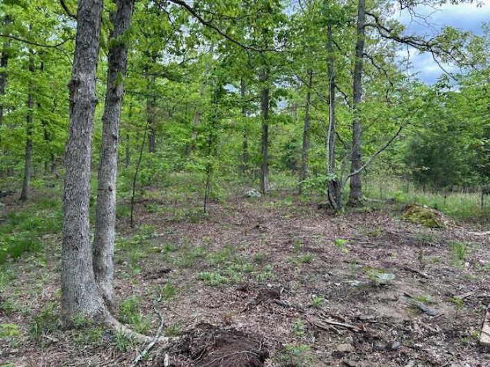 View of local wilderness with a forest view