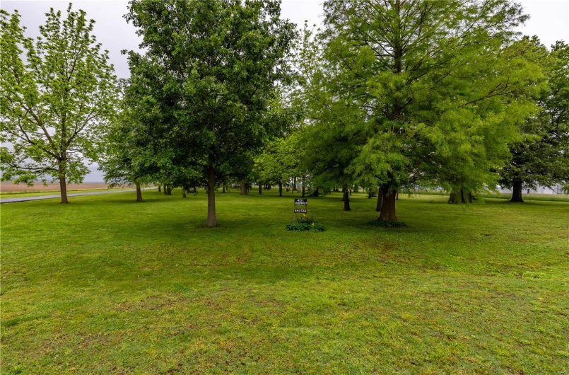 401 Roosevelt Street, Matthews, Missouri 63828, 4 Bedrooms Bedrooms, 7 Rooms Rooms,2 BathroomsBathrooms,Residential,For Sale,Roosevelt,MAR25029487