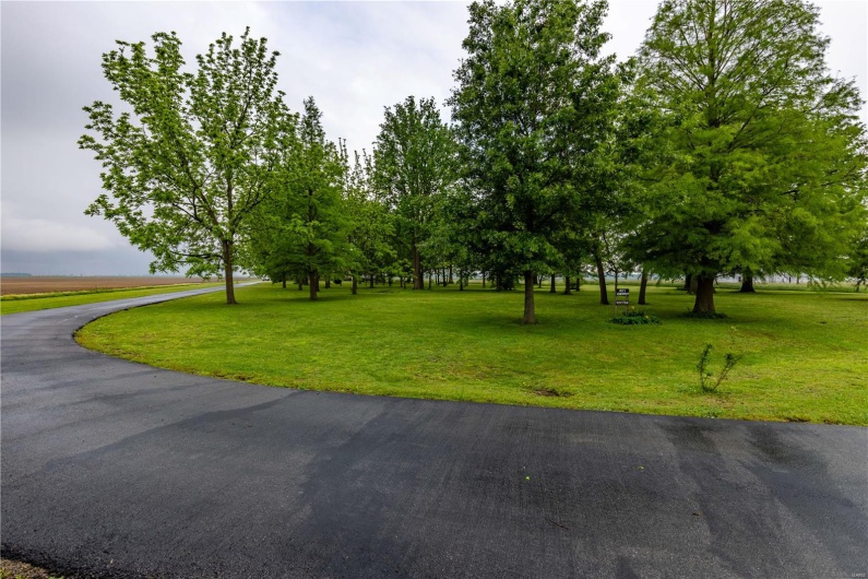 401 Roosevelt Street, Matthews, Missouri 63828, 4 Bedrooms Bedrooms, 7 Rooms Rooms,2 BathroomsBathrooms,Residential,For Sale,Roosevelt,MAR25029487