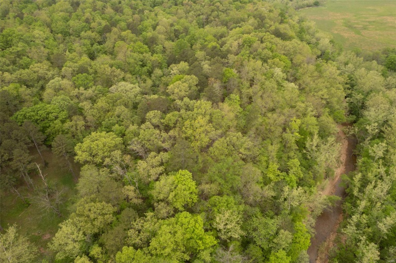 Bird's eye view with a forest view