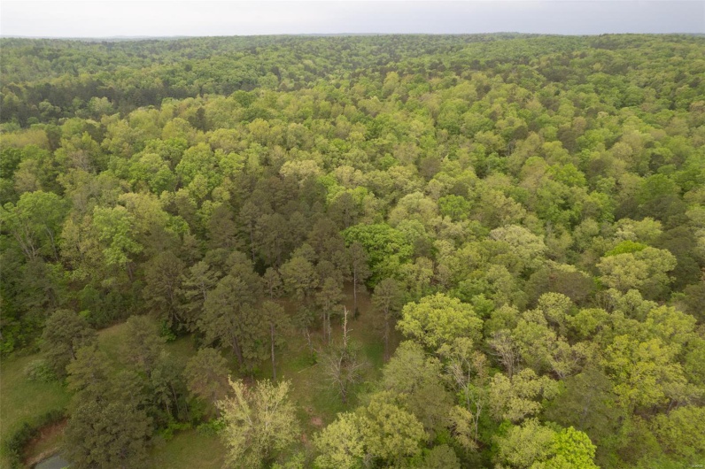 Birds eye view of property featuring a wooded view