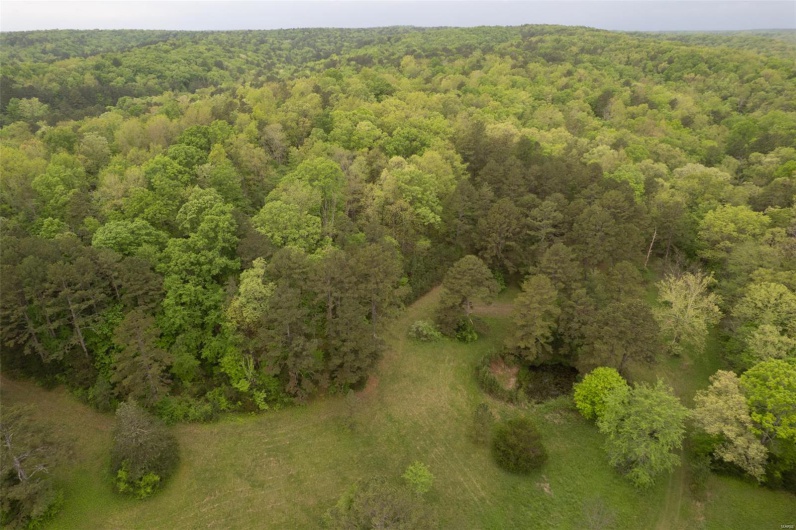 Birds eye view of property with a wooded view