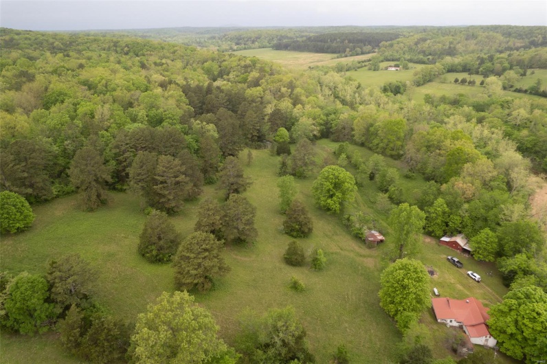 Drone / aerial view with a forest view