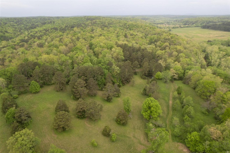 Bird's eye view featuring a wooded view