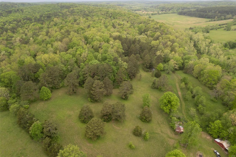 Birds eye view of property featuring a view of trees