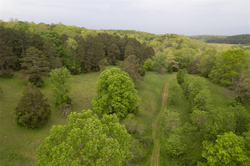 Drone / aerial view featuring a wooded view