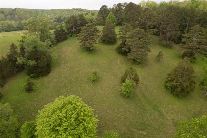 Birds eye view of property with a forest view