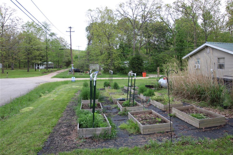 View of yard with a vegetable garden