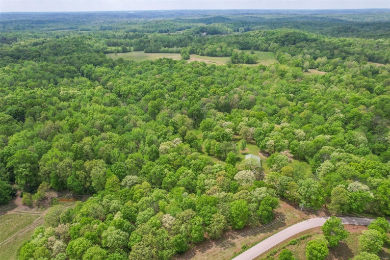 729 County Road 543, Poplar Bluff, Missouri 63901, 1 Bedroom Bedrooms, 5 Rooms Rooms,1 BathroomBathrooms,Residential,For Sale,County Road 543,MAR25029338