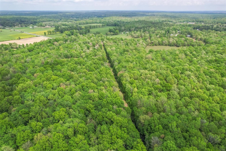 729 County Road 543, Poplar Bluff, Missouri 63901, 1 Bedroom Bedrooms, 5 Rooms Rooms,1 BathroomBathrooms,Residential,For Sale,County Road 543,MAR25029338