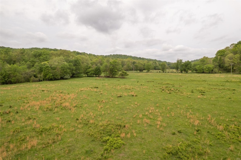 View of landscape with a wooded view and a rural view