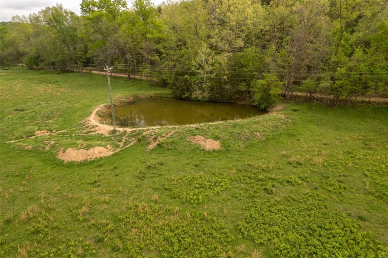 View of yard featuring a view of trees