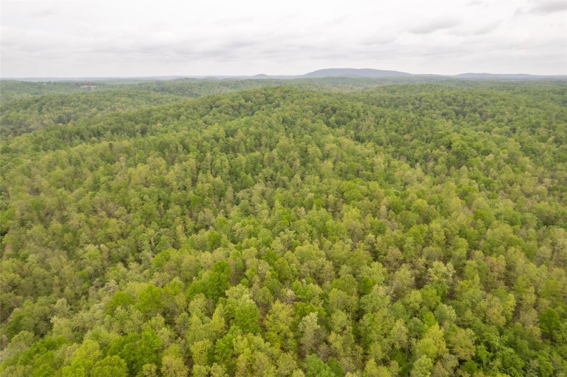 Bird's eye view with a wooded view