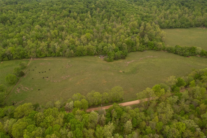 Aerial view featuring a wooded view and a rural view