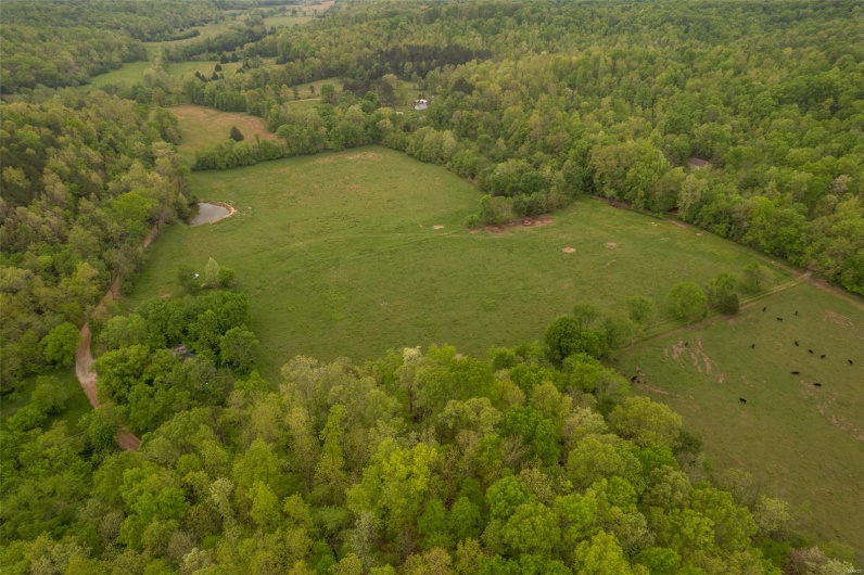 Bird's eye view featuring a rural view and a view of trees