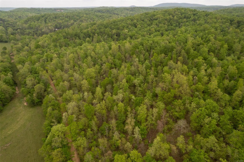 Aerial view featuring a mountain view and a view of trees