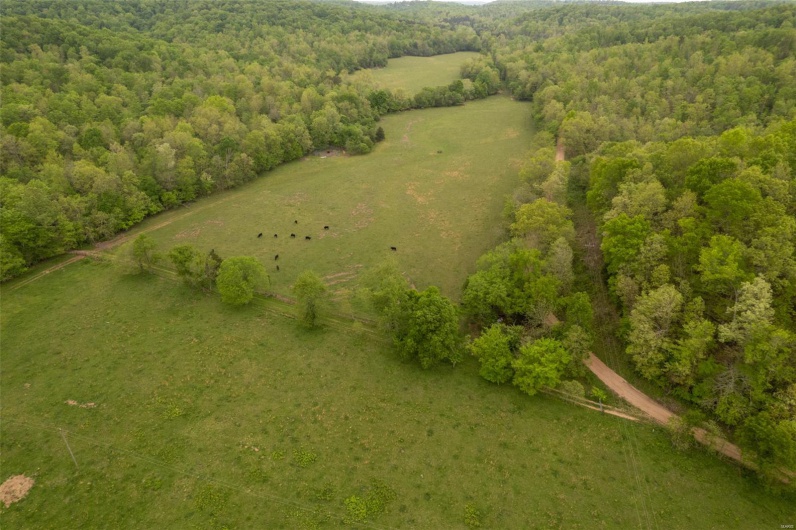 Birds eye view of property with a rural view and a forest view