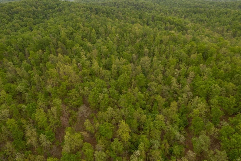 Bird's eye view featuring a view of trees