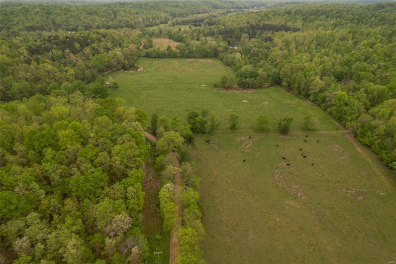 Drone / aerial view with a rural view and a view of trees