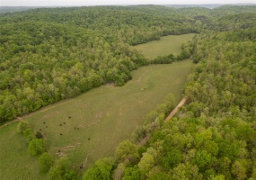 0 CR 352, Piedmont, Missouri 63957, ,Farm,For Sale,CR 352,MAR25029522