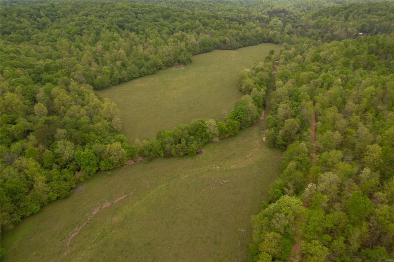 Birds eye view of property featuring a wooded view and a rural view