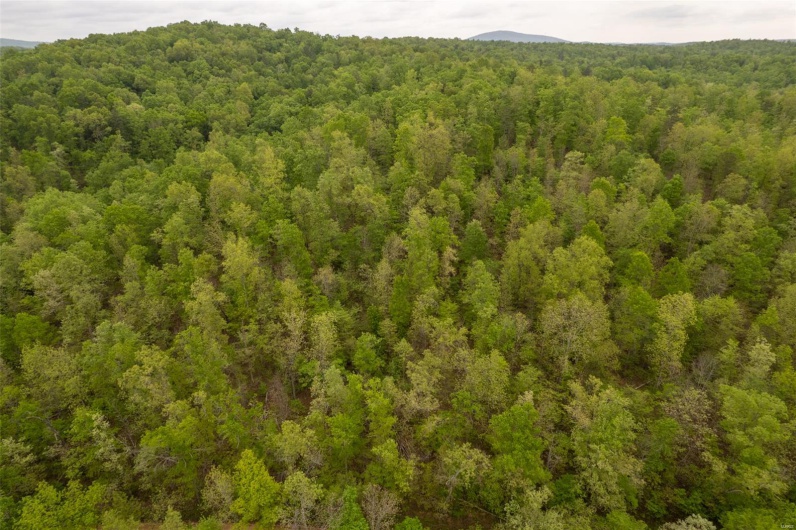 Birds eye view of property featuring a wooded view
