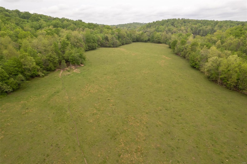 Bird's eye view featuring a wooded view