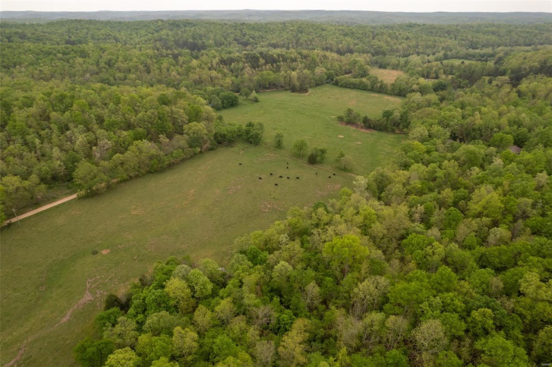 Drone / aerial view with a forest view