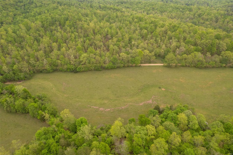 Drone / aerial view with a forest view
