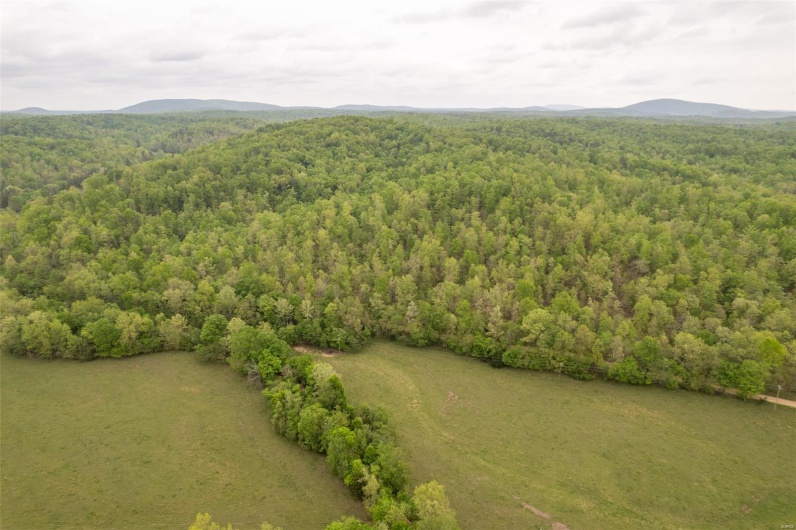 Aerial view with a mountain view and a view of trees