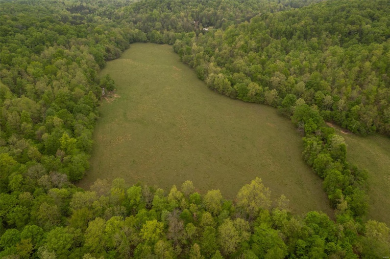 Aerial view with a view of trees