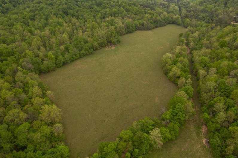 Bird's eye view with a forest view
